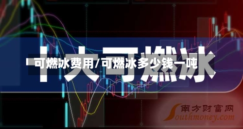 可燃冰费用/可燃冰多少钱一吨