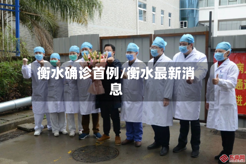 衡水确诊首例/衡水最新消息