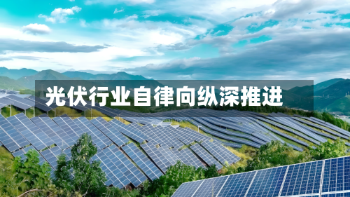 光伏行业自律向纵深推进