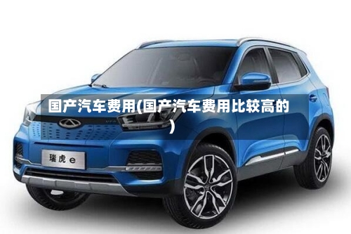 国产汽车费用(国产汽车费用比较高的)-第3张图片