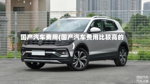国产汽车费用(国产汽车费用比较高的)-第2张图片