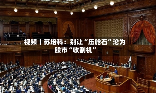 视频丨苏培科:别让“压舱石”沦为股市“收割机”