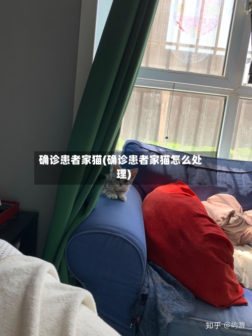 确诊患者家猫(确诊患者家猫怎么处理)