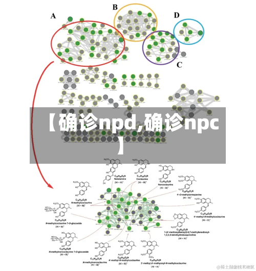 【确诊npd,确诊npc】