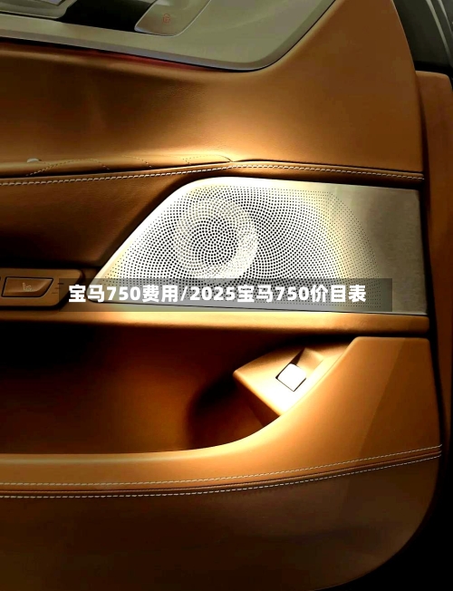 宝马750费用/2025宝马750价目表-第3张图片