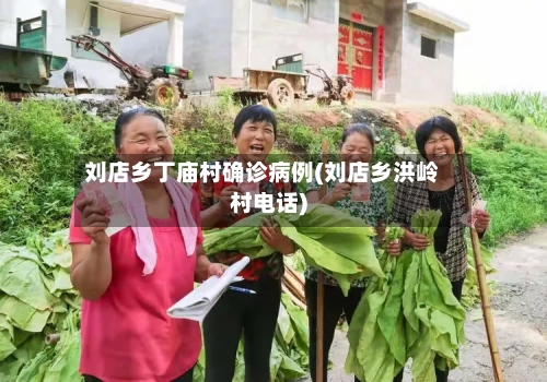刘店乡丁庙村确诊病例(刘店乡洪岭村电话)