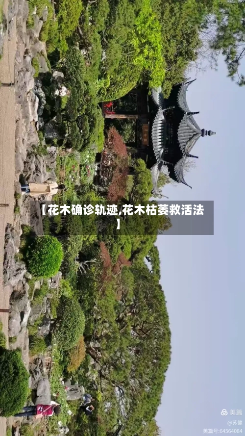 【花木确诊轨迹,花木枯萎救活法】-第2张图片