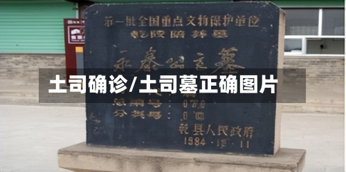 土司确诊/土司墓正确图片