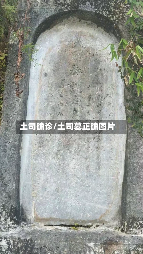 土司确诊/土司墓正确图片-第3张图片
