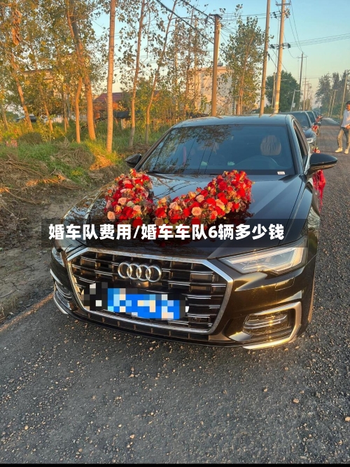 婚车队费用/婚车车队6辆多少钱-第2张图片