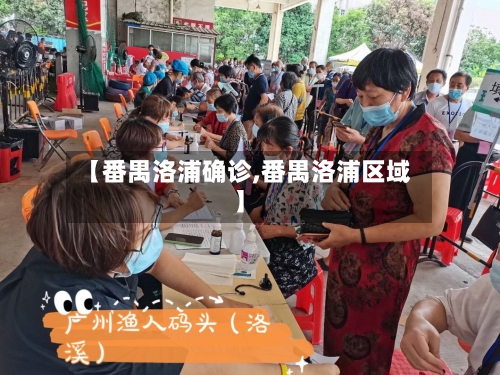 【番禺洛浦确诊,番禺洛浦区域】