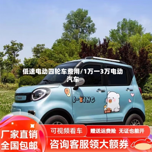 低速电动四轮车费用/1万一3万电动汽车-第2张图片