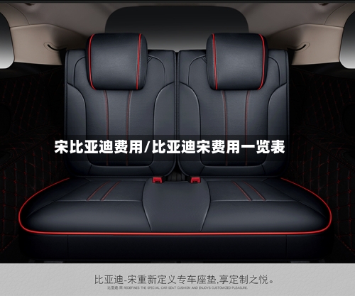 宋比亚迪费用/比亚迪宋费用一览表