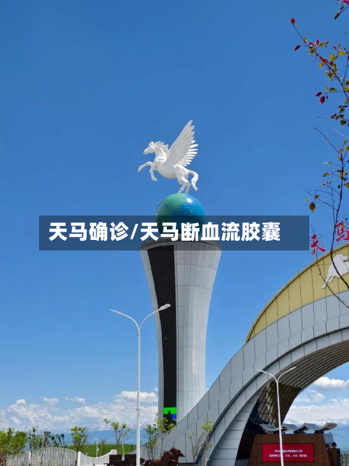 天马确诊/天马断血流胶囊-第2张图片