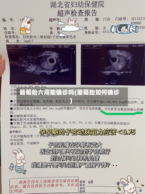 葡萄胎六周能确诊吗(葡萄胎如何确诊)-第3张图片