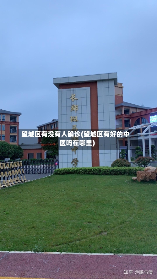 望城区有没有人确诊(望城区有好的中医吗在哪里)