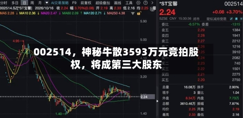 002514	，神秘牛散3593万元竞拍股权，将成第三大股东-第3张图片