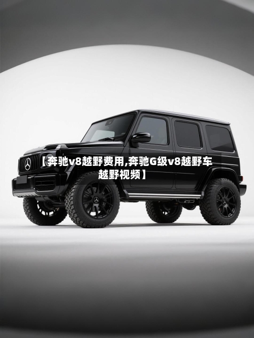 【奔驰v8越野费用,奔驰G级v8越野车越野视频】-第2张图片