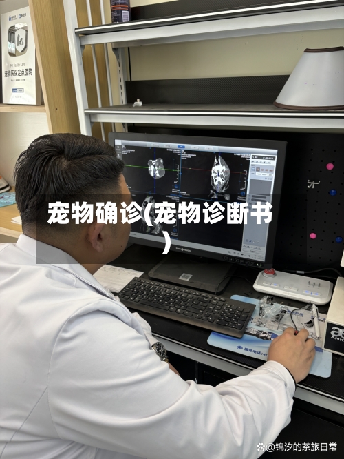 宠物确诊(宠物诊断书)-第3张图片