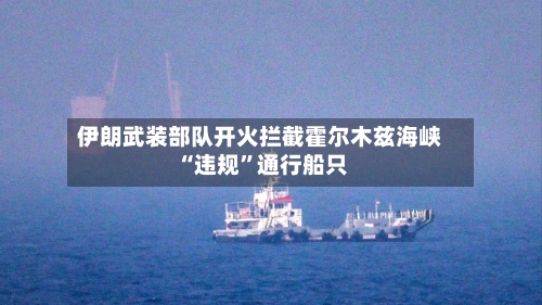 伊朗武装部队开火拦截霍尔木兹海峡“违规”通行船只-第2张图片