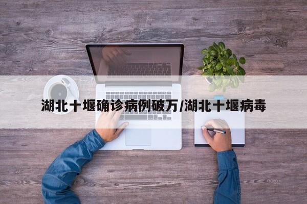 湖北十堰确诊病例破万/湖北十堰病毒