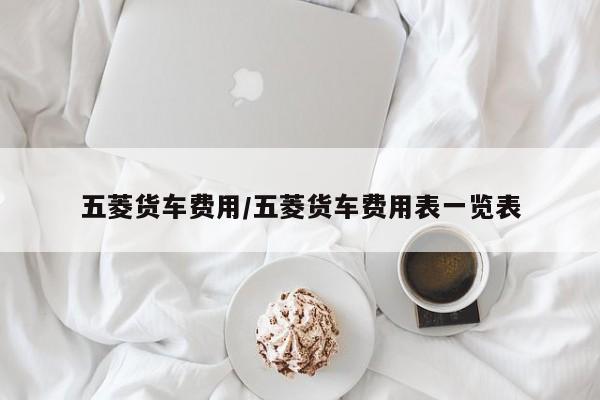 五菱货车费用/五菱货车费用表一览表