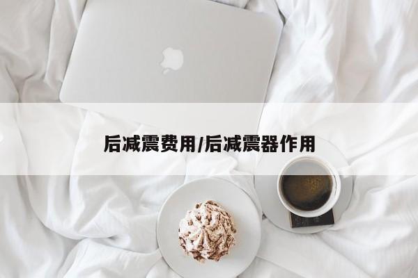 后减震费用/后减震器作用