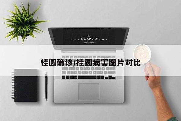 桂圆确诊/桂圆病害图片对比