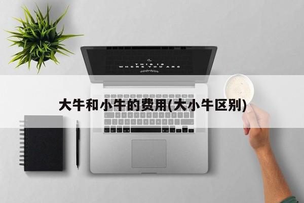 大牛和小牛的费用(大小牛区别)