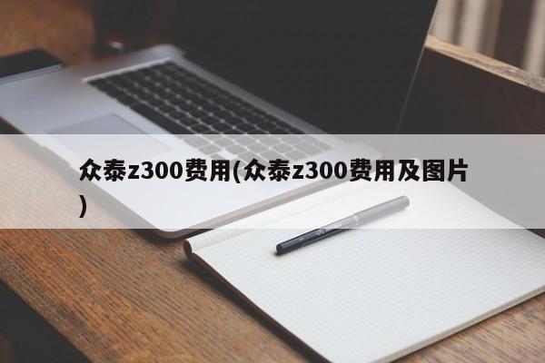 众泰z300费用(众泰z300费用及图片)