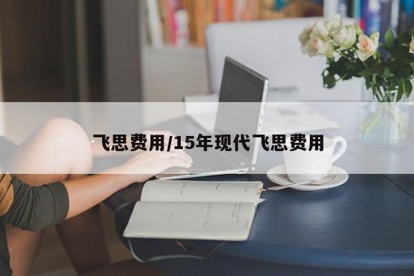 飞思费用/15年现代飞思费用