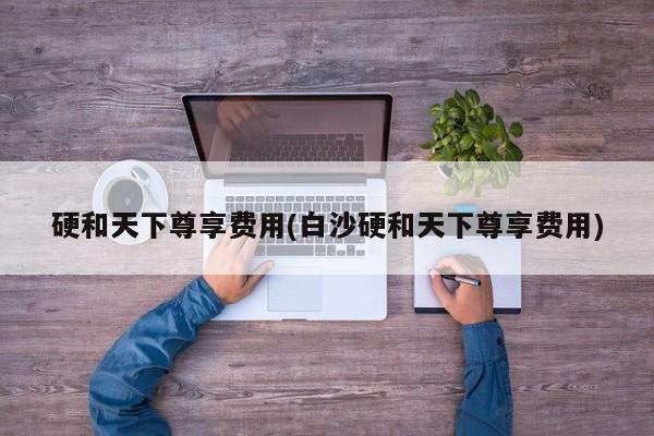 硬和天下尊享费用(白沙硬和天下尊享费用)