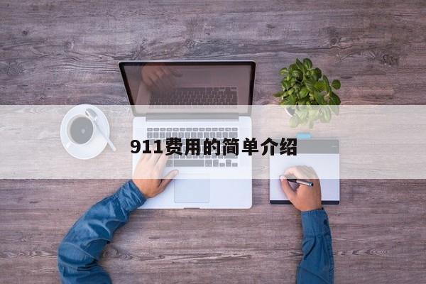 911费用的简单介绍