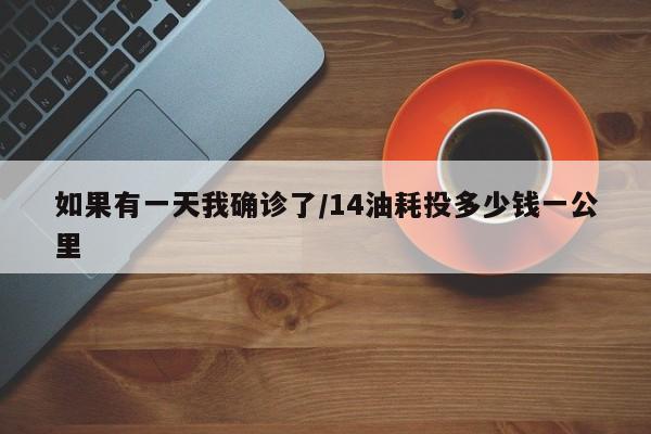 如果有一天我确诊了/14油耗投多少钱一公里