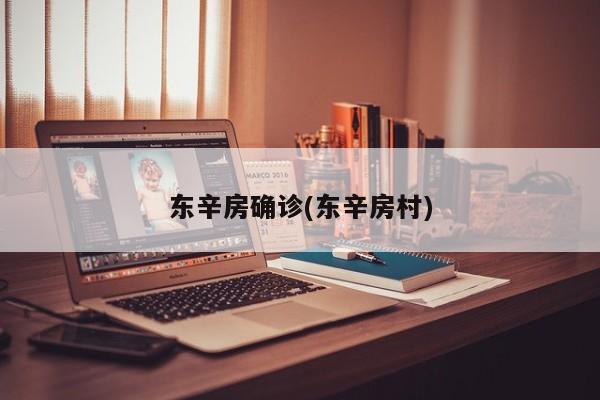 东辛房确诊(东辛房村)