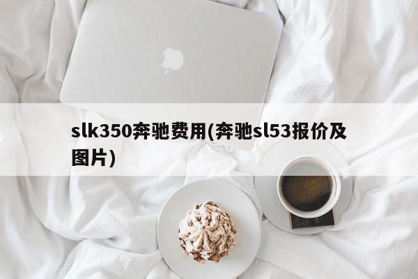 slk350奔驰费用(奔驰sl53报价及图片)