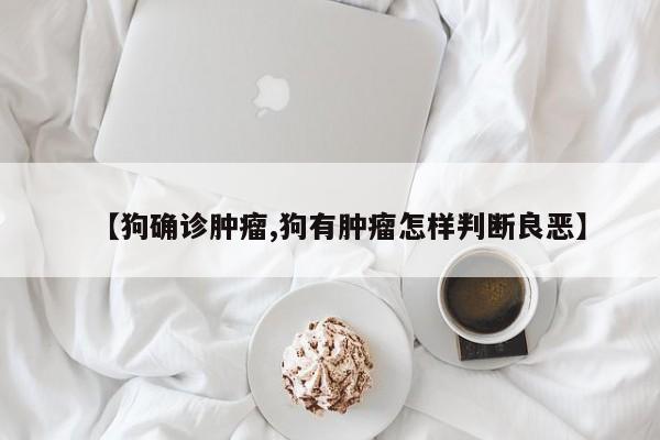 【狗确诊肿瘤,狗有肿瘤怎样判断良恶】
