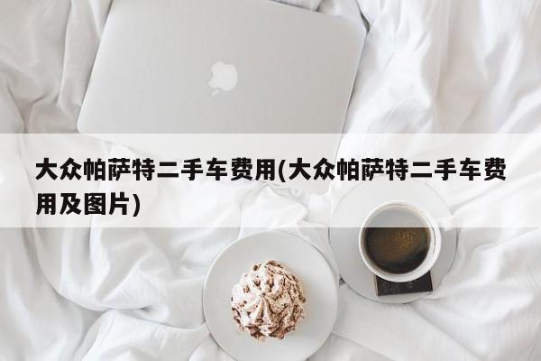 大众帕萨特二手车费用(大众帕萨特二手车费用及图片)