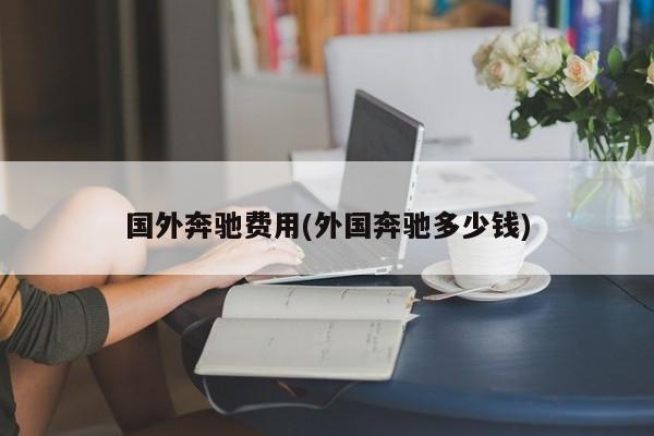 国外奔驰费用(外国奔驰多少钱)