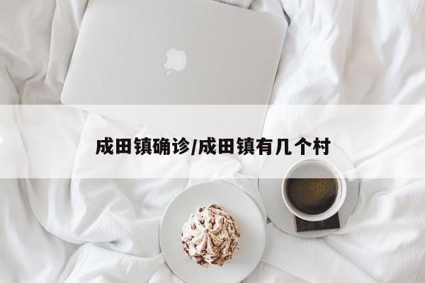 成田镇确诊/成田镇有几个村