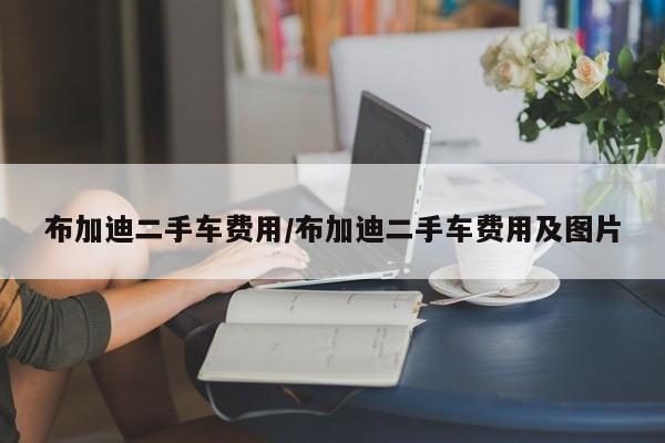 布加迪二手车费用/布加迪二手车费用及图片