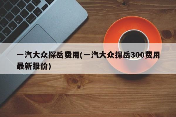 一汽大众探岳费用(一汽大众探岳300费用最新报价)