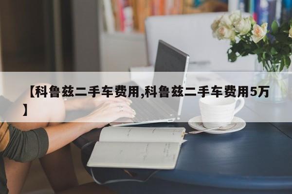 【科鲁兹二手车费用,科鲁兹二手车费用5万】