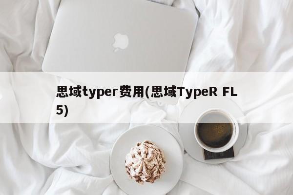 思域typer费用(思域TypeR FL5)