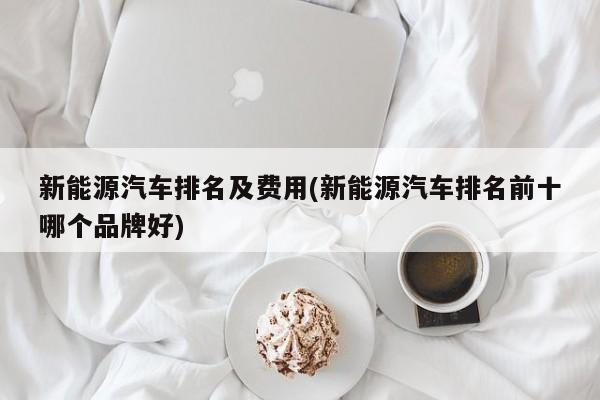 新能源汽车排名及费用(新能源汽车排名前十哪个品牌好)