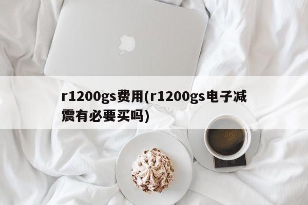 r1200gs费用(r1200gs电子减震有必要买吗)
