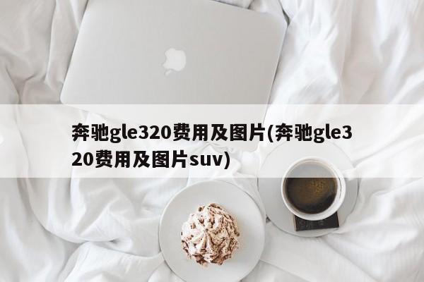 奔驰gle320费用及图片(奔驰gle320费用及图片suv)