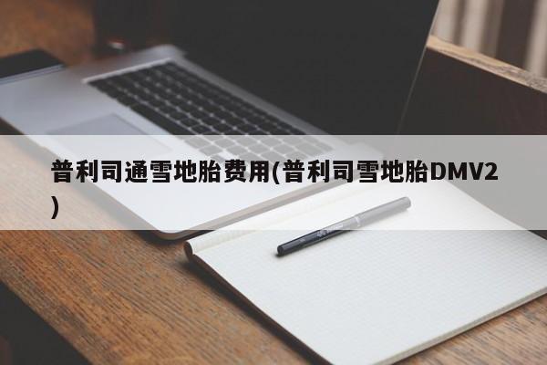 普利司通雪地胎费用(普利司雪地胎DMV2)