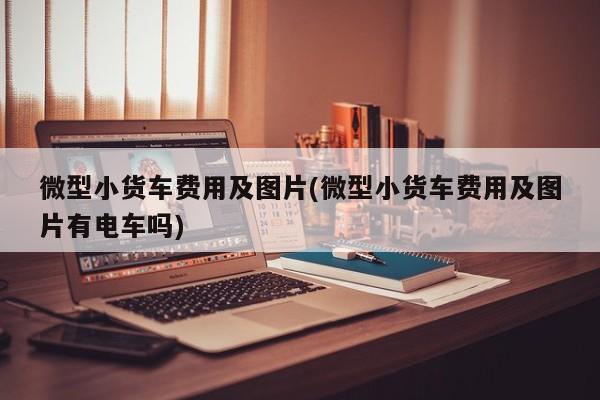 微型小货车费用及图片(微型小货车费用及图片有电车吗)