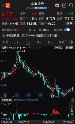 华联控股产业转型突然遇阻，拟投资阿根廷锂盐湖项目触发审查